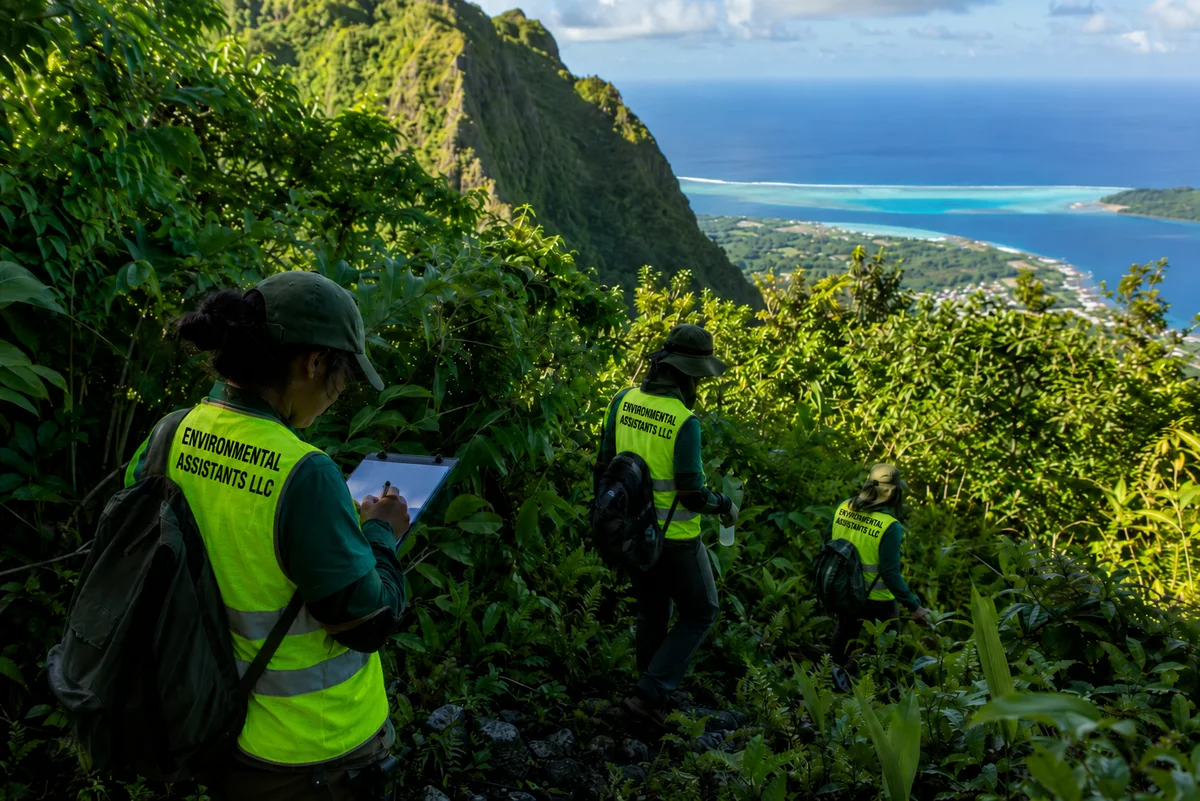 Pacific Island Project Experience — representative environmental fieldwork